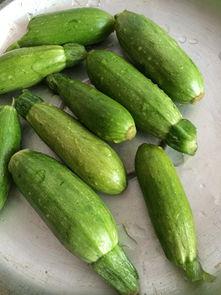 吃小角瓜害处,了解食用不当的负面影响