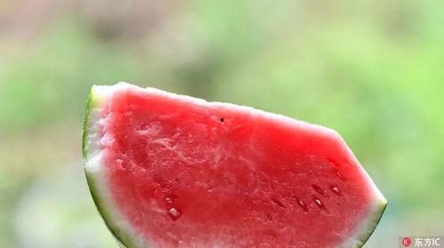 吃瓜夜,吃瓜夜背后的真相与八卦风云