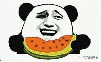 洋洋洋吃瓜群众,揭秘网络热议背后的真相