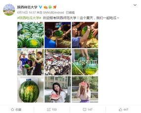各高校吃瓜网站,揭秘各大校园吃瓜网站热点事件盘点
